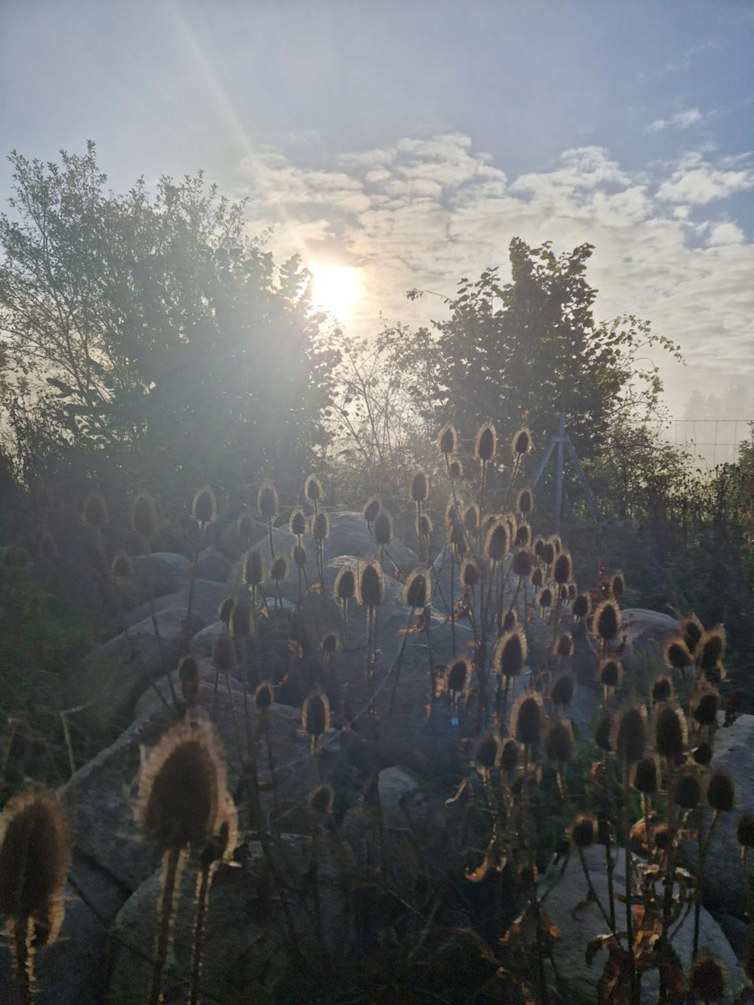 Maerchenhaft Urlauben Auf Dem Alpakahof Rambow Exterior foto